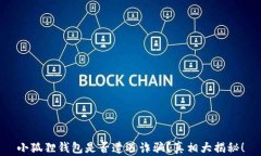 小狐狸钱包是否遭遇诈骗？真相大揭秘！