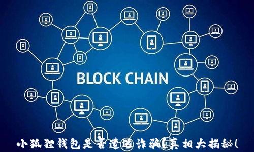 
小狐狸钱包是否遭遇诈骗？真相大揭秘！