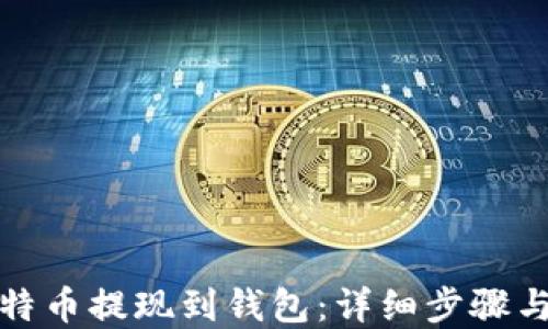 
如何将比特币提现到钱包：详细步骤与实用技巧