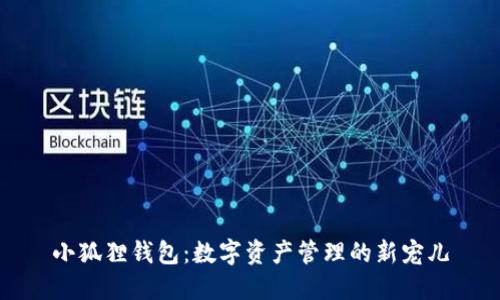 小狐狸钱包：数字资产管理的新宠儿
