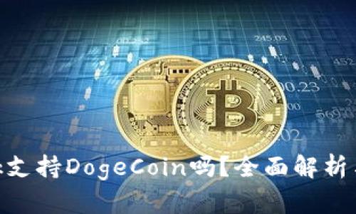 MetaMask支持DogeCoin吗？全面解析与使用指南
