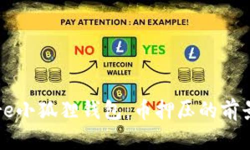 探索Core小狐狸钱包：币押压的前景与挑战