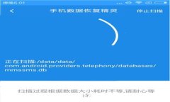 揭秘2023年最热门比特币钱包地址排名及其背后的