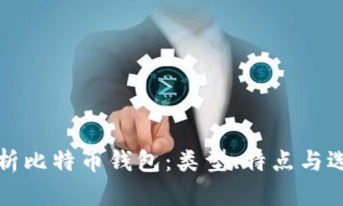 全面解析比特币钱包：类型、特点与选择指南